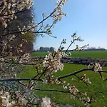Apartment In Danmark -petersminde Exclusive