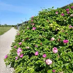 In Danmark -petersminde Exclusive Apartment