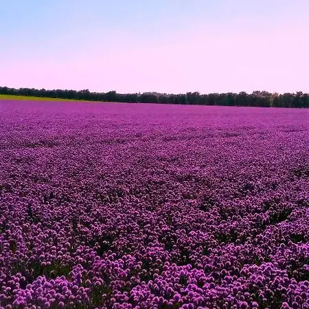 アパート In Danmark -petersminde Exclusive *