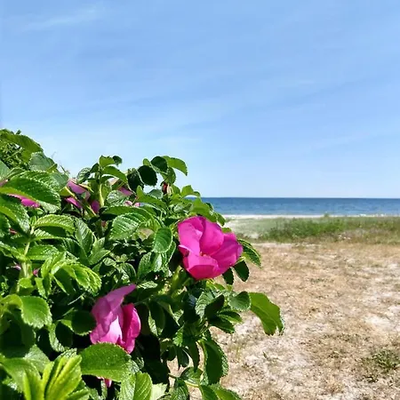 In Danmark -petersminde Exclusive * Оттеруп