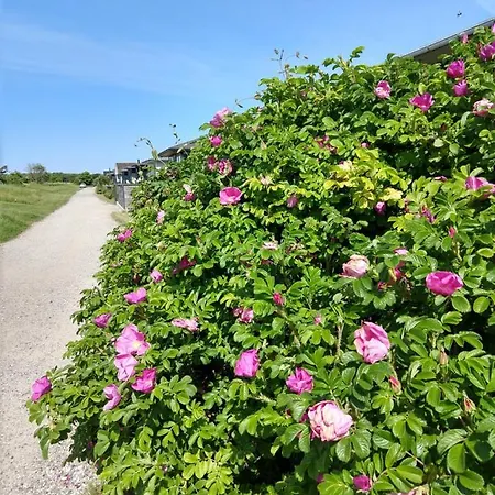 In Danmark -petersminde Exclusive Апартаменты