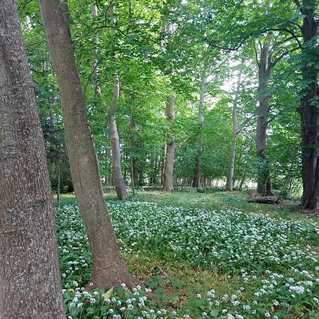 In Danmark -petersminde Exclusive Апартаменты Оттеруп