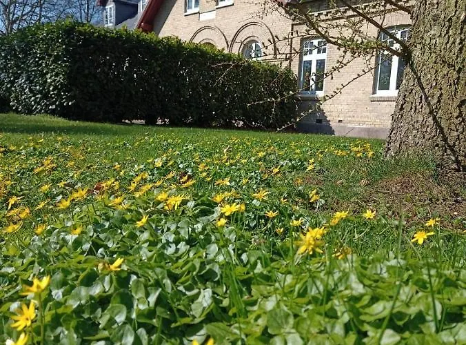 In Danmark -petersminde Exclusive Appartement Otterup