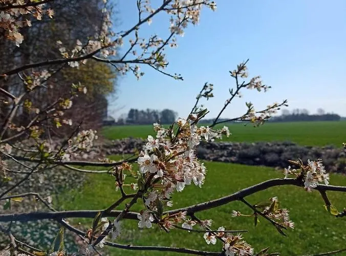 Appartement In Danmark -petersminde Exclusive